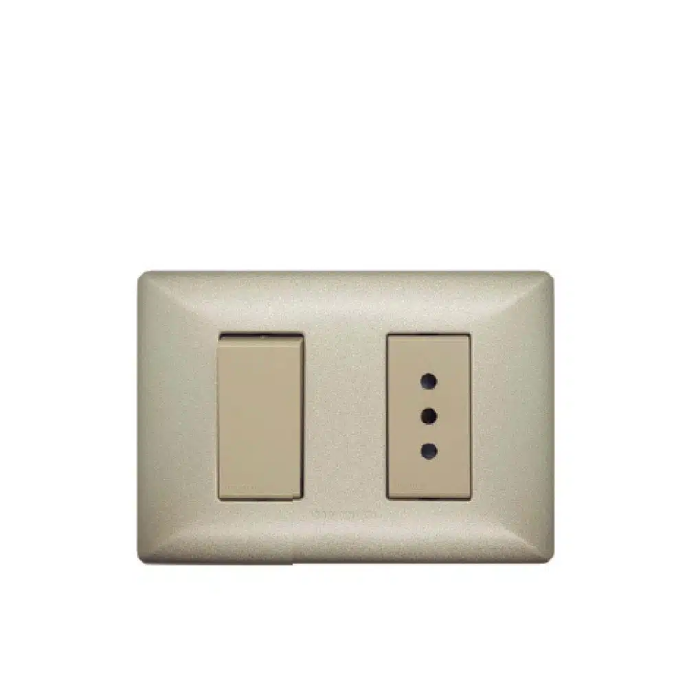 S22 Enchufe 10A + Interruptor 9/12 P/Champagne-M/Beige