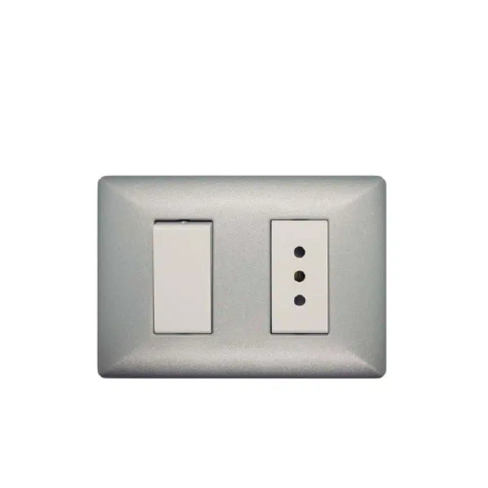 S22 Enchufe 10A + Interruptor 9/12 P/Plata-M/Blanco